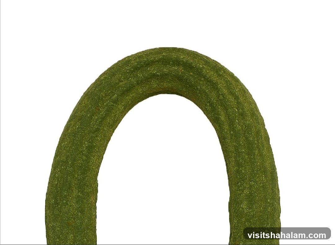 Green Archway