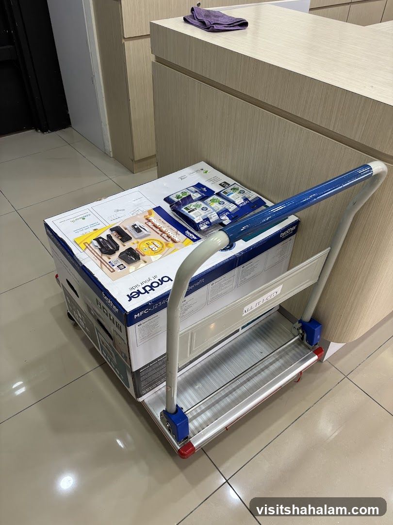 Brother Printer and Ink Cartridges on a Trolley