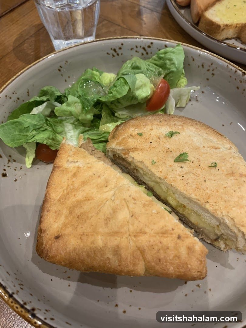 Sandwich and Salad