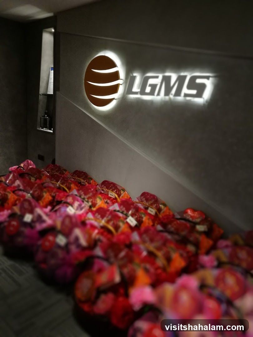 LGMS Berhad