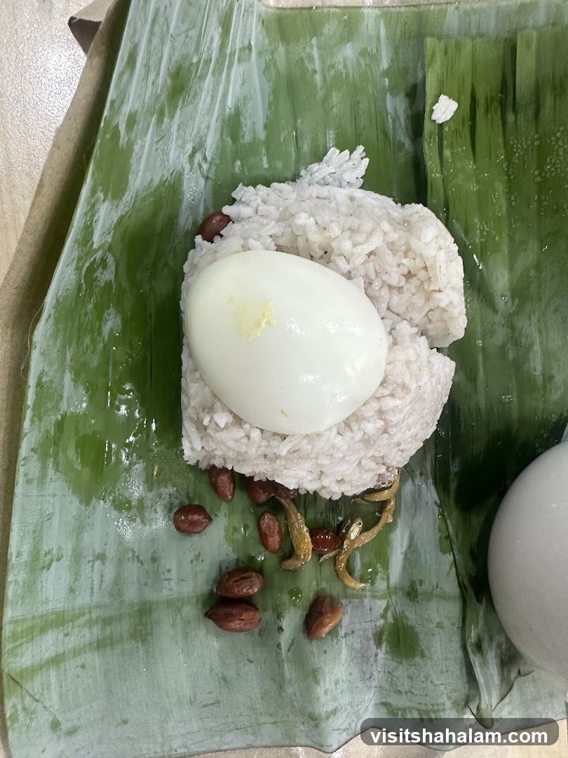 Nasi Lemak