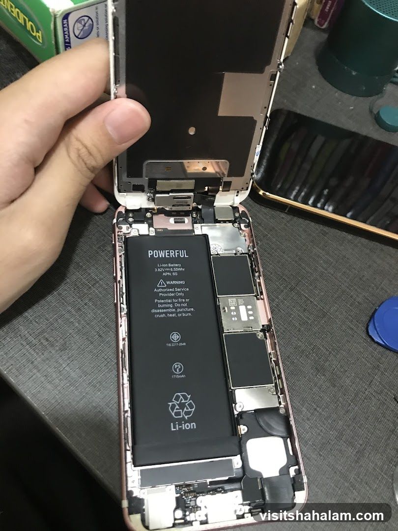Disassembled Smartphone Battery