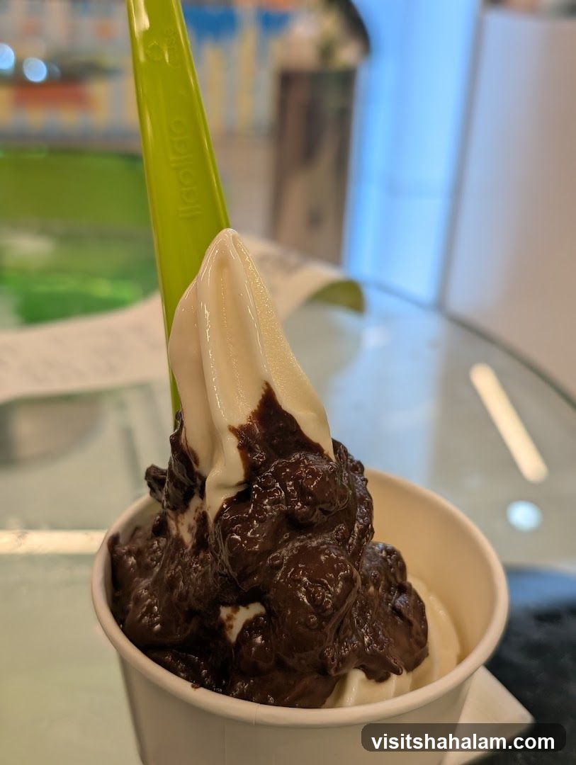 Frozen Yogurt with Chocolate Topping