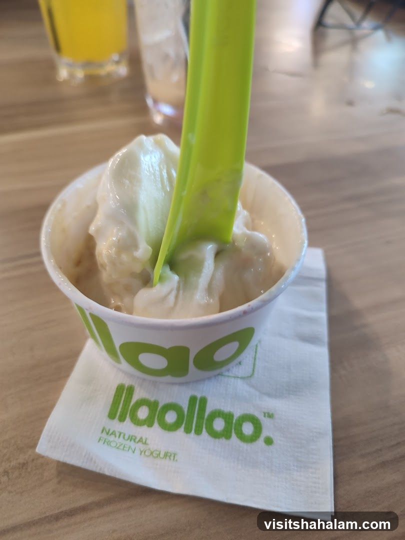 Frozen Yogurt Cup