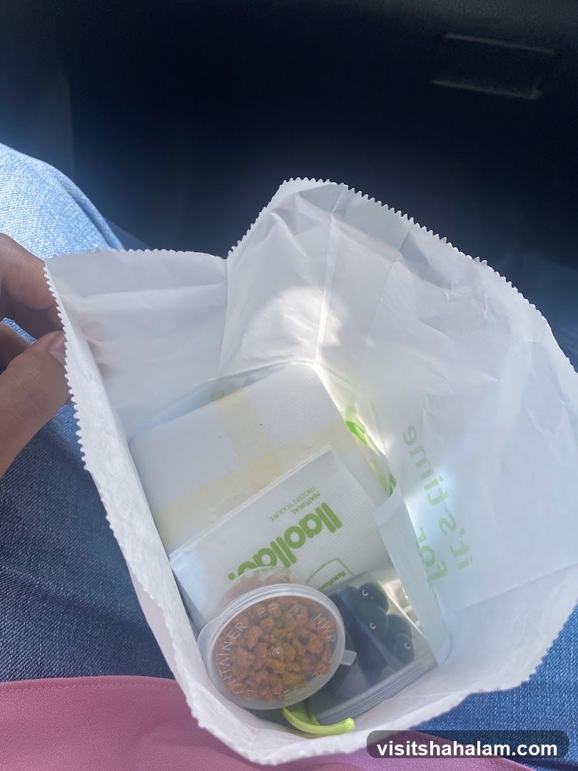 Takeout Bag with Yogurt and Toppings