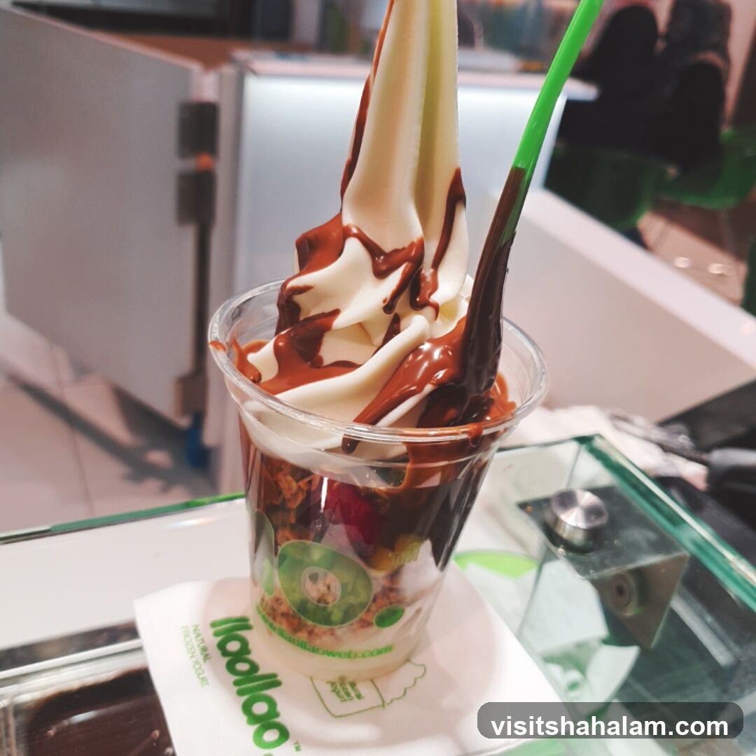 Frozen Yogurt with Chocolate Drizzle