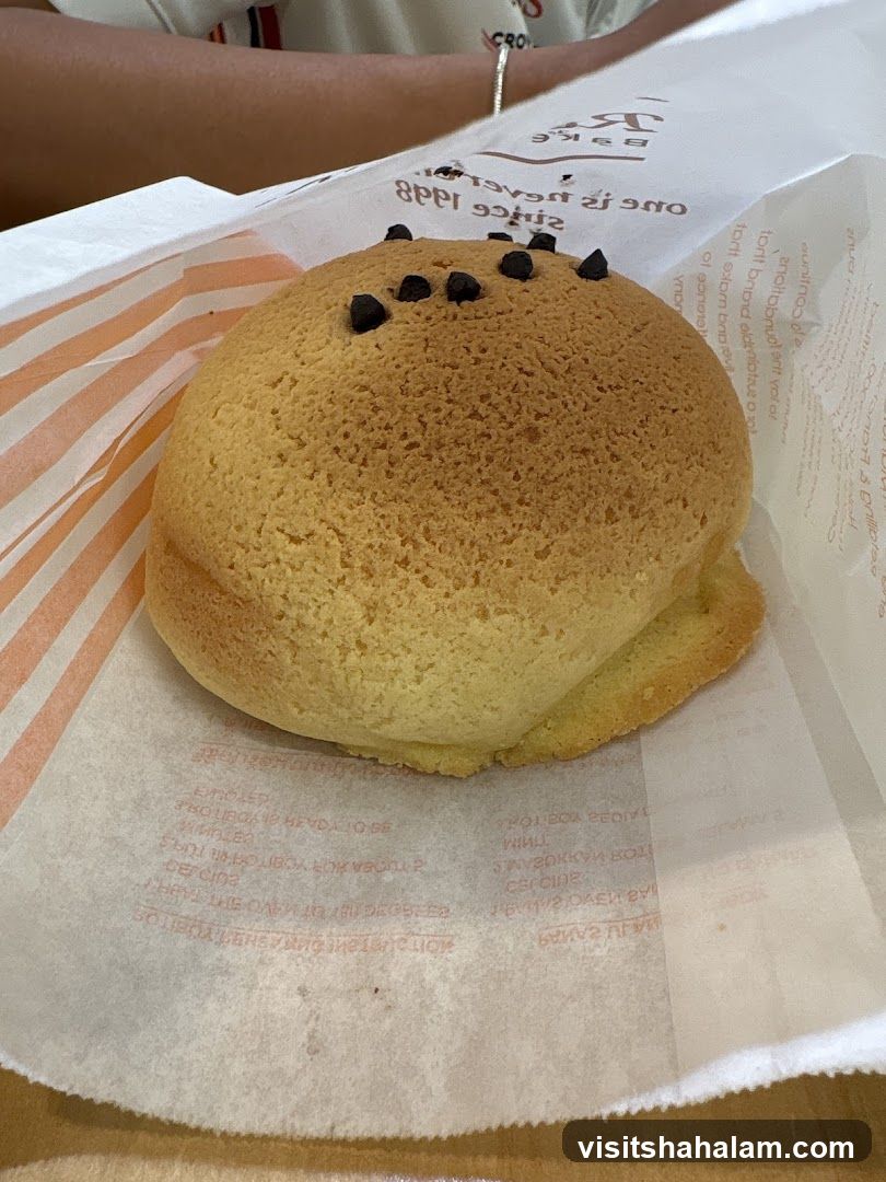 Chocolate Chip Bun
