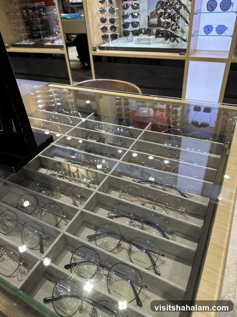 Eyeglasses Display