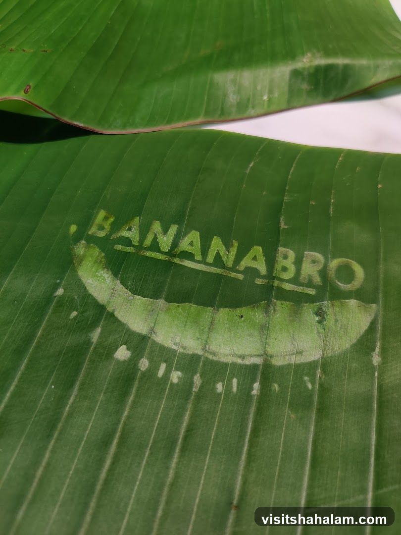 Banana Bro Logo on Banana Leaf