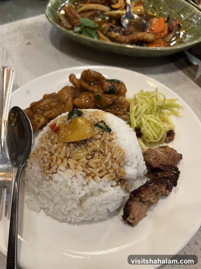 Plate of food with rice and meat