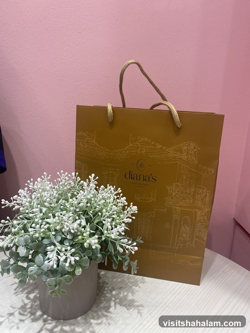 Gift Bag and Plant