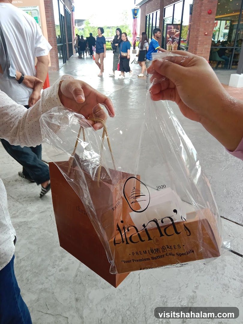 Person holding a shopping bag