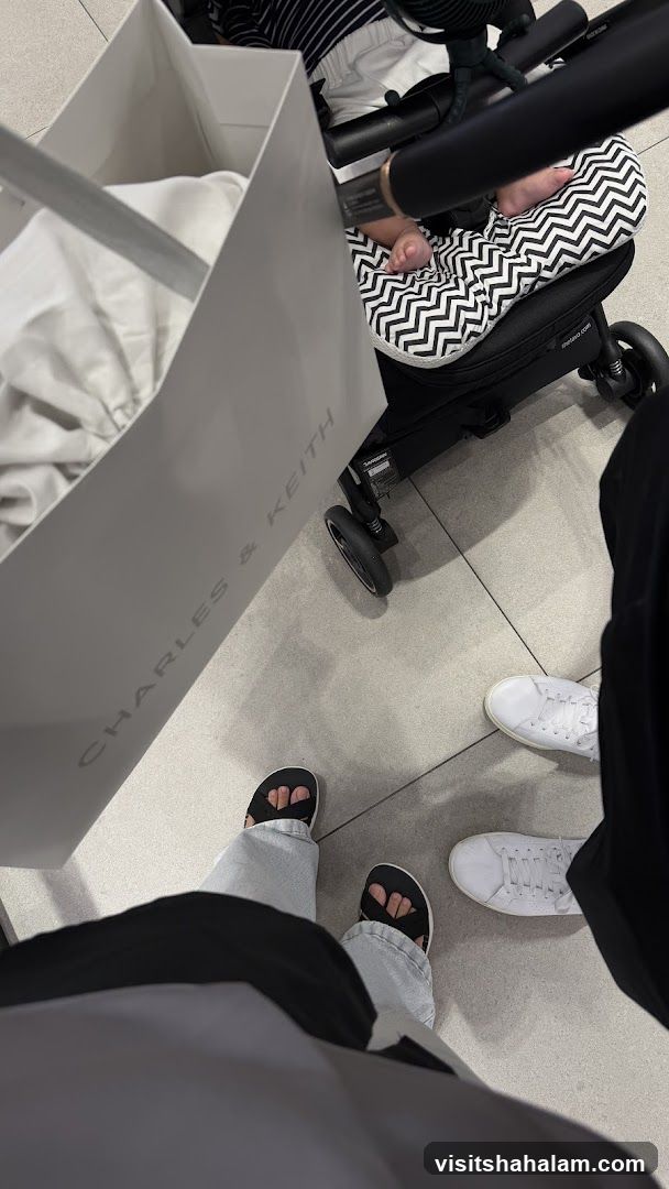 Shopping Bag and Stroller
