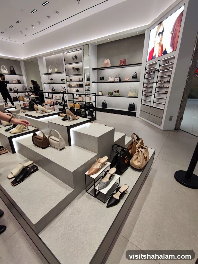 Fashionable Handbags and Shoes Display