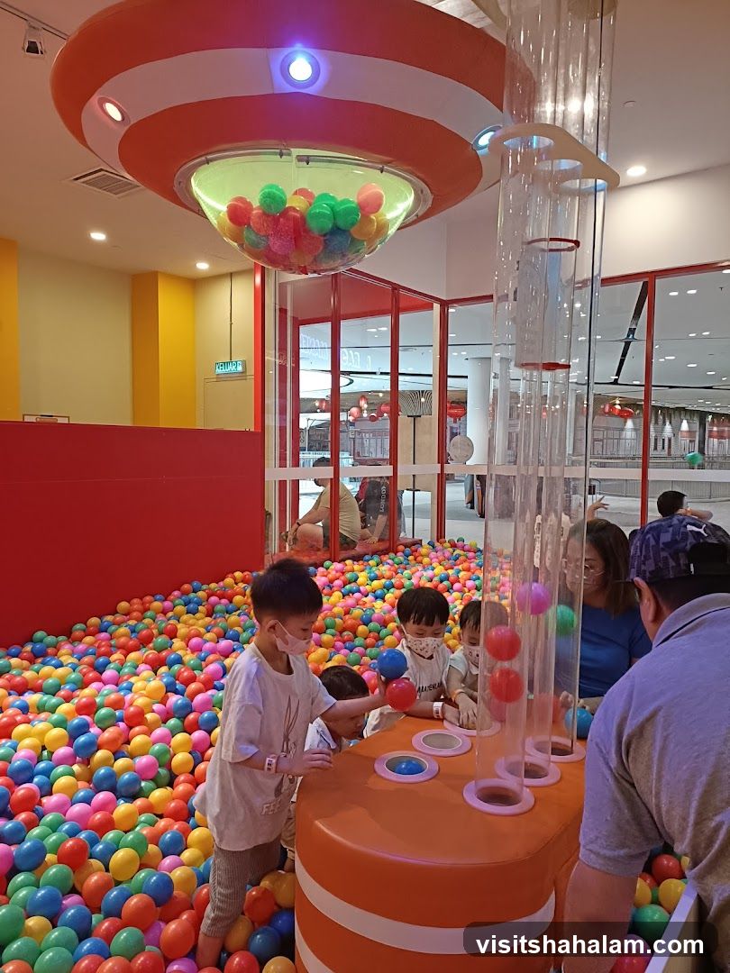 Children Playing in a Ball Pit