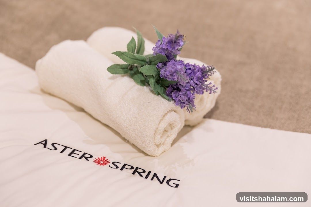 AsterSpring Signature
