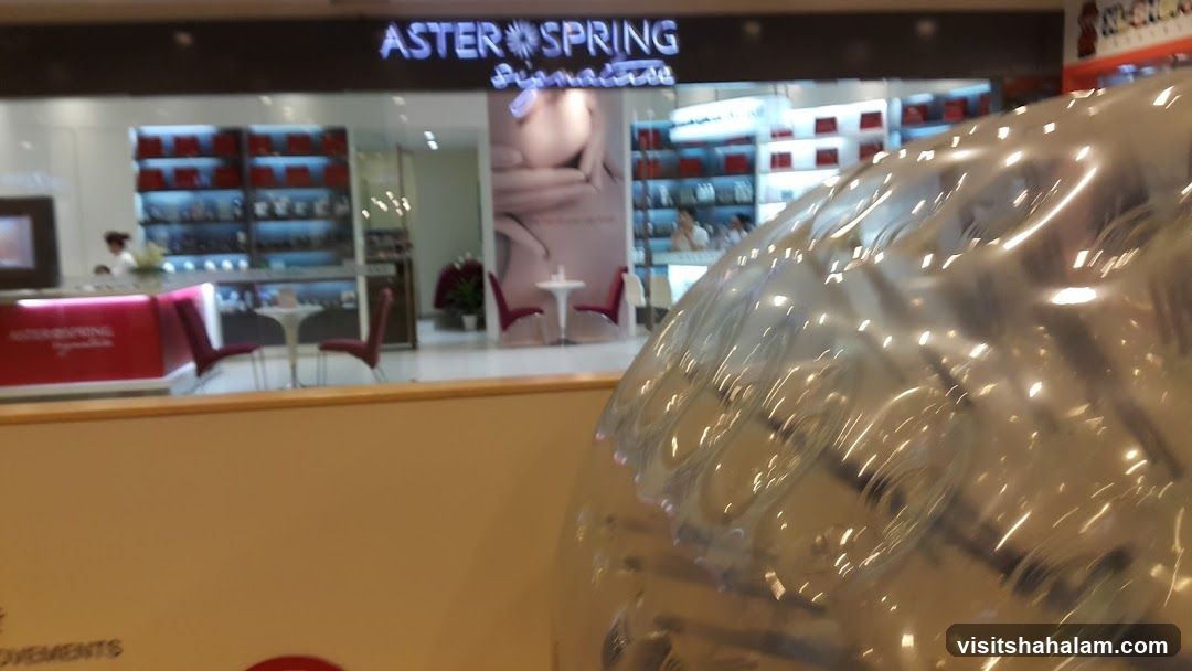 AsterSpring Signature