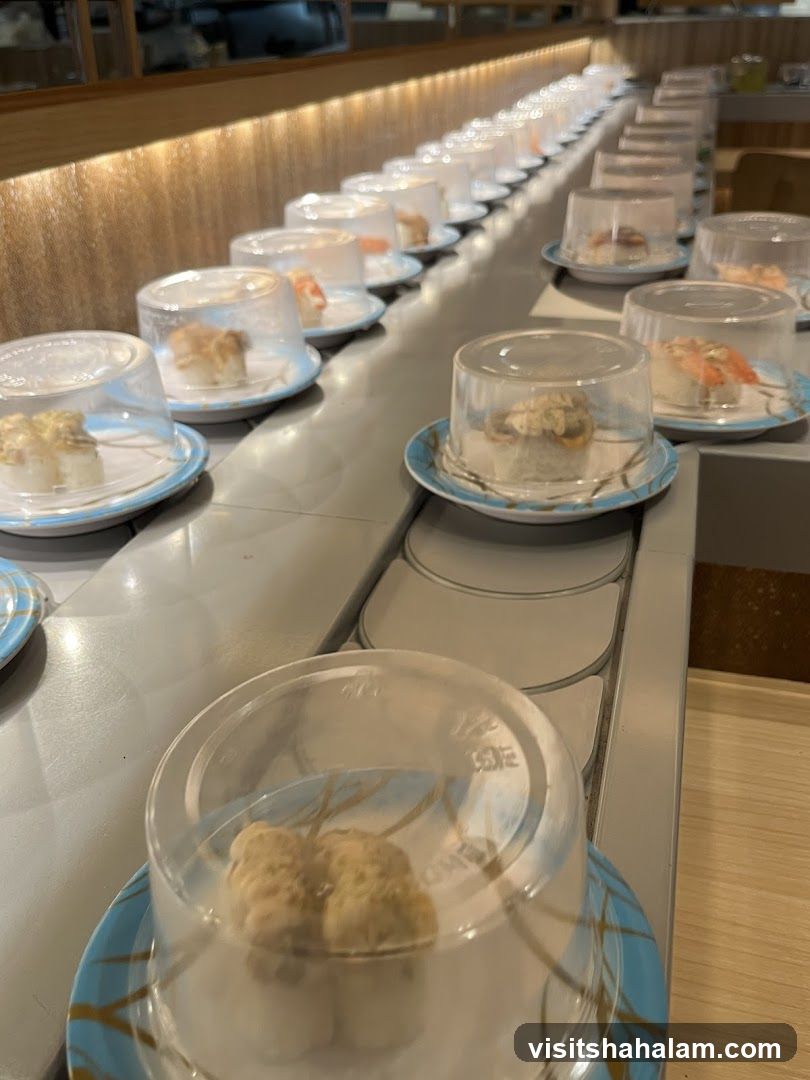 Conveyor Belt Sushi