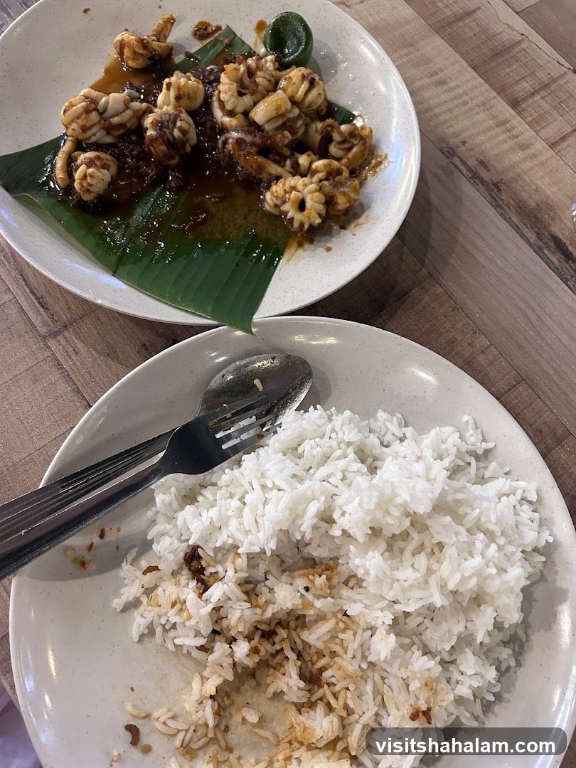 Squid and Rice