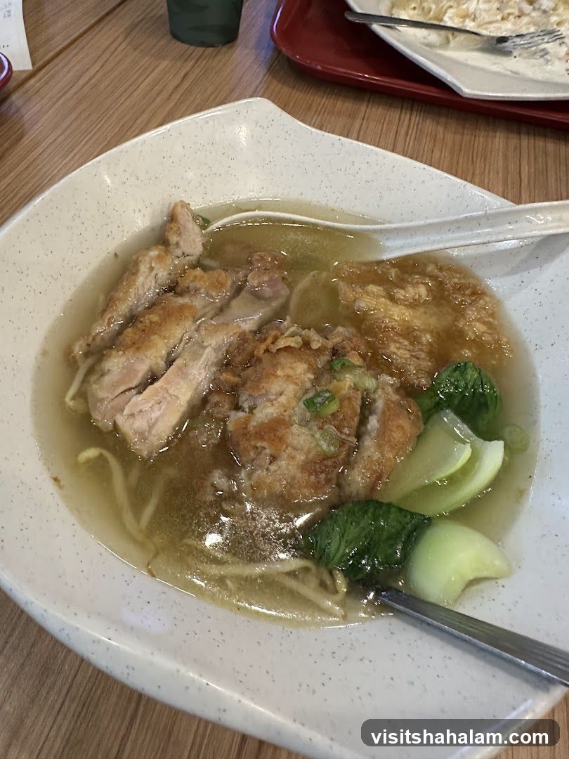 Noodle Soup with Chicken