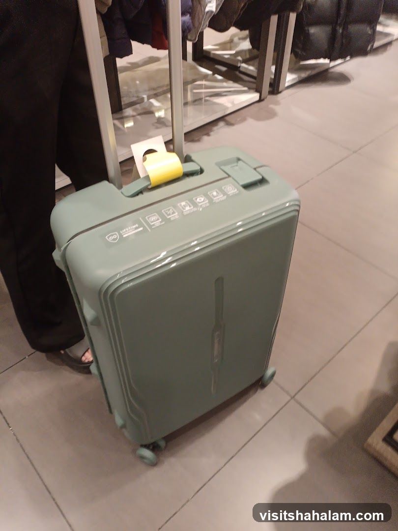 Light Green Suitcase