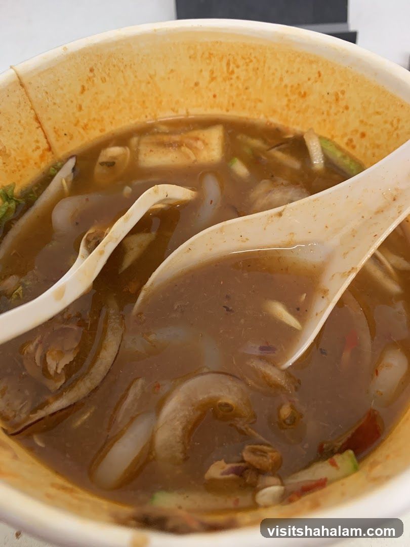 Laksa Soup with Noodles and Tofu