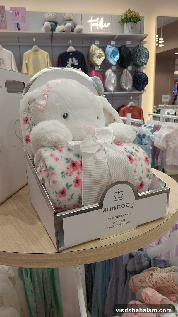 Plush Toy with Blanket Gift Set