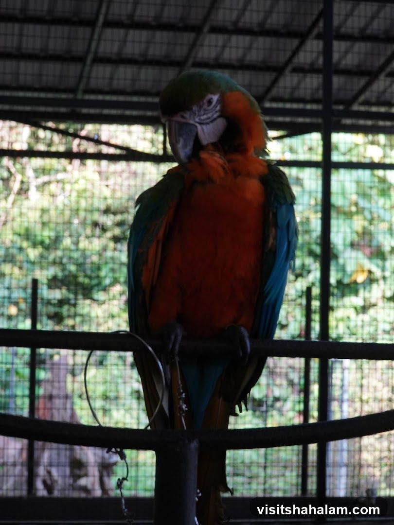 Hussin Fauzi Farm
