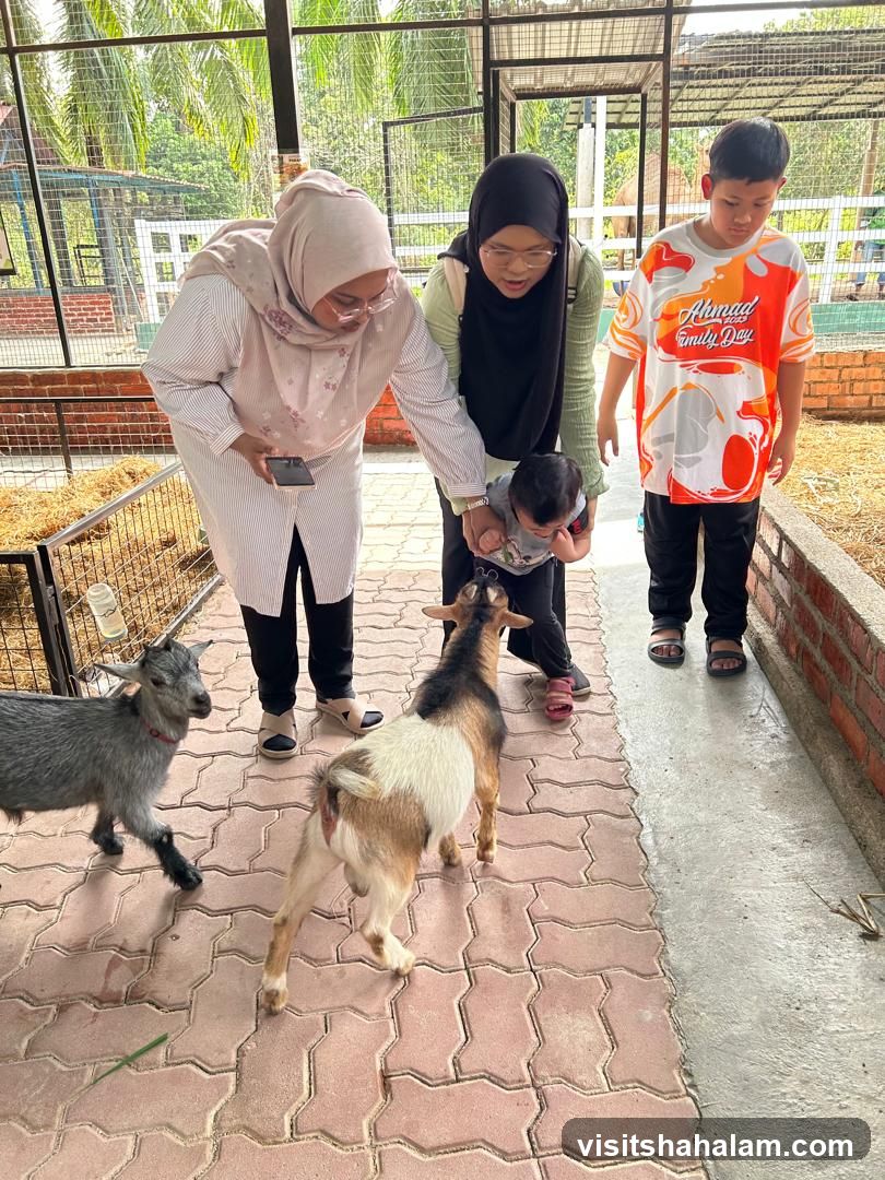 Family interacting with goats