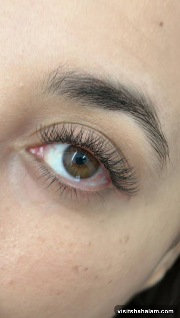 The Hair TRIC and Lashility