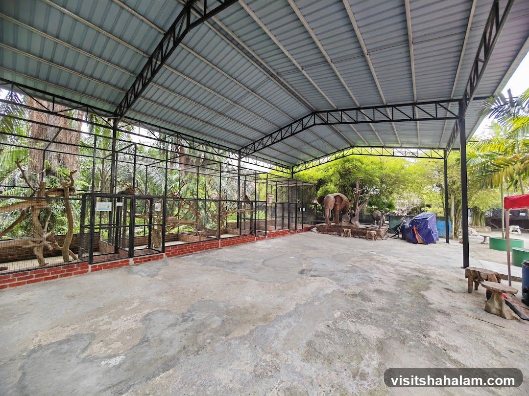 Animal Enclosure