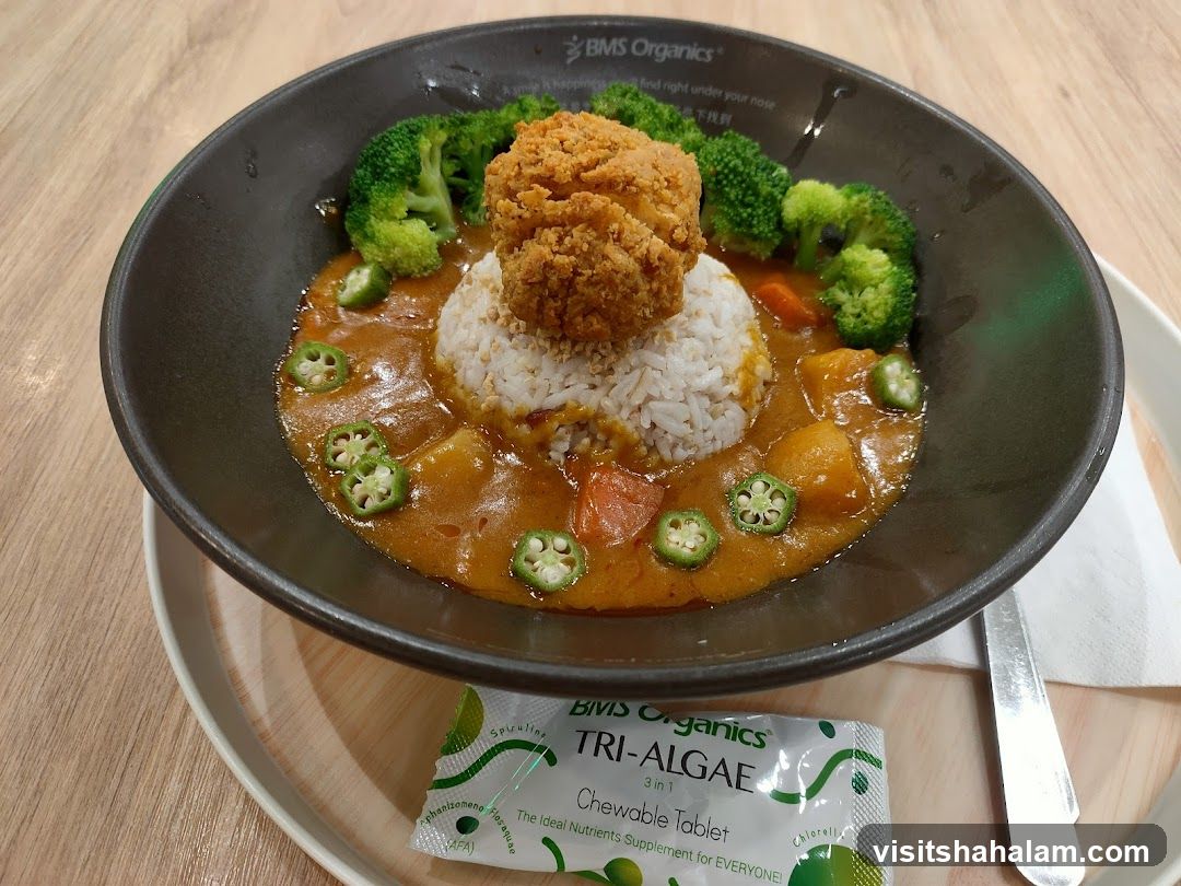 Curry with Rice and Fried Chicken