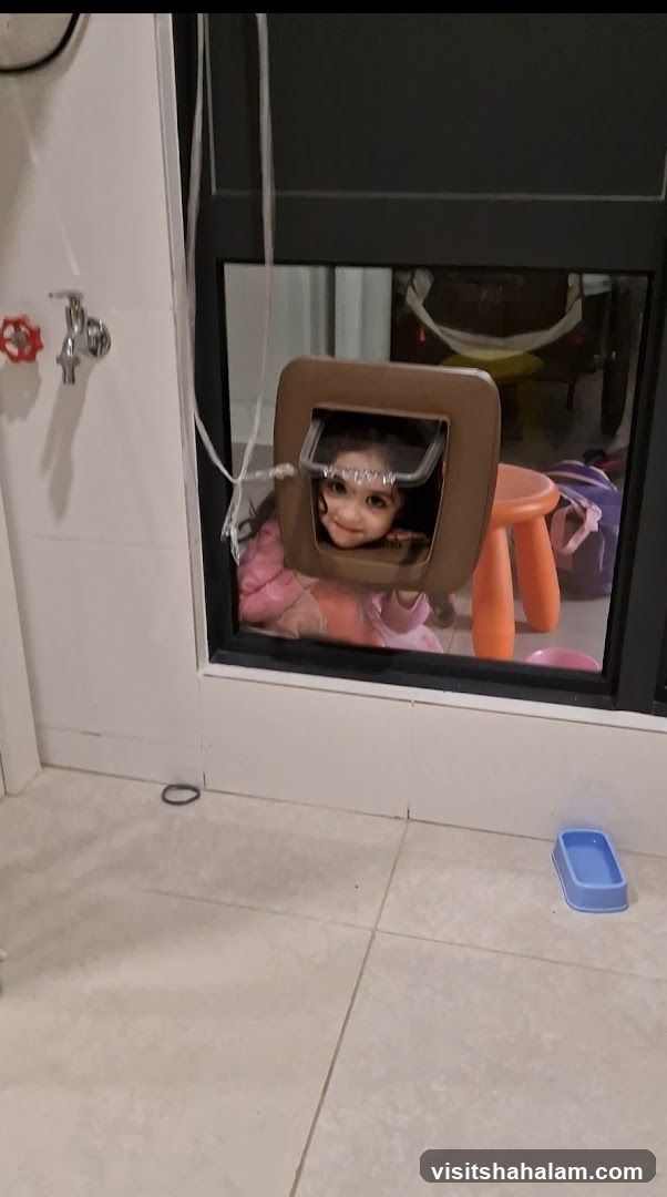 Child looking through a pet door