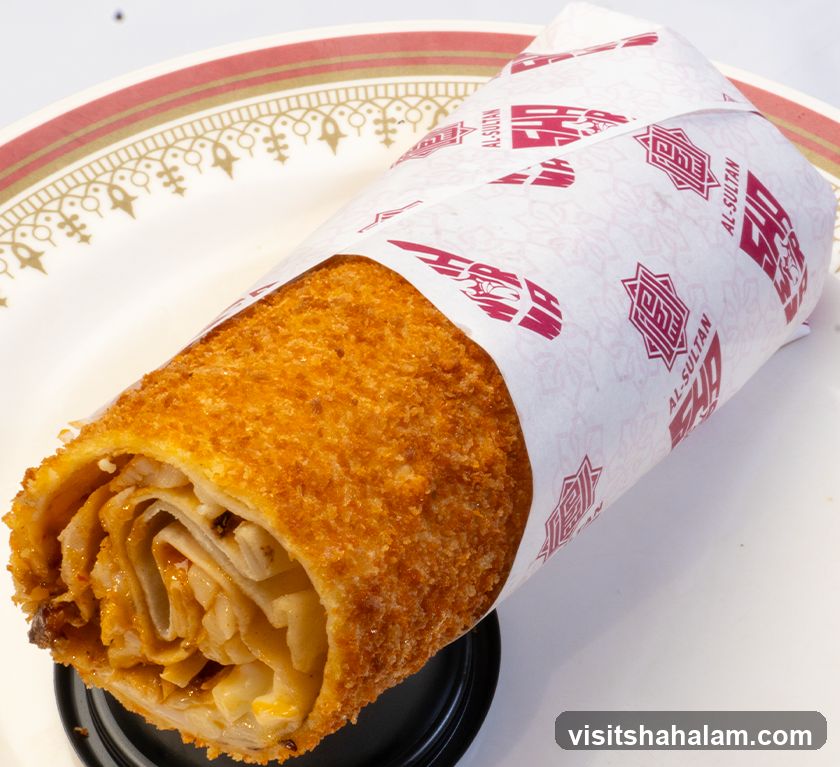 Fried Wrap