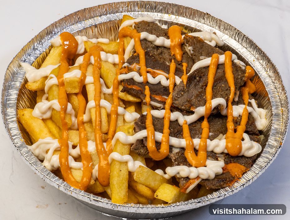 Doner Kebab Fries