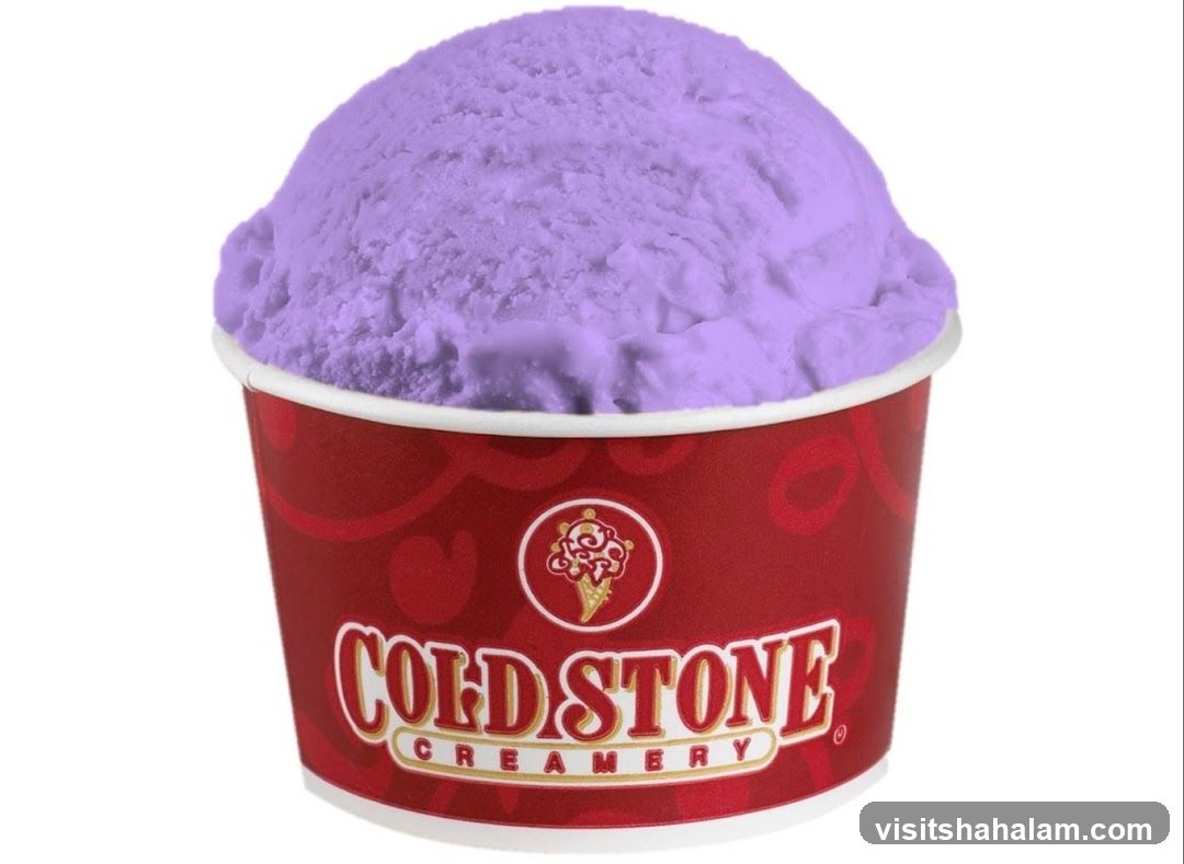 Cold Stone Creamery Ice Cream Cup