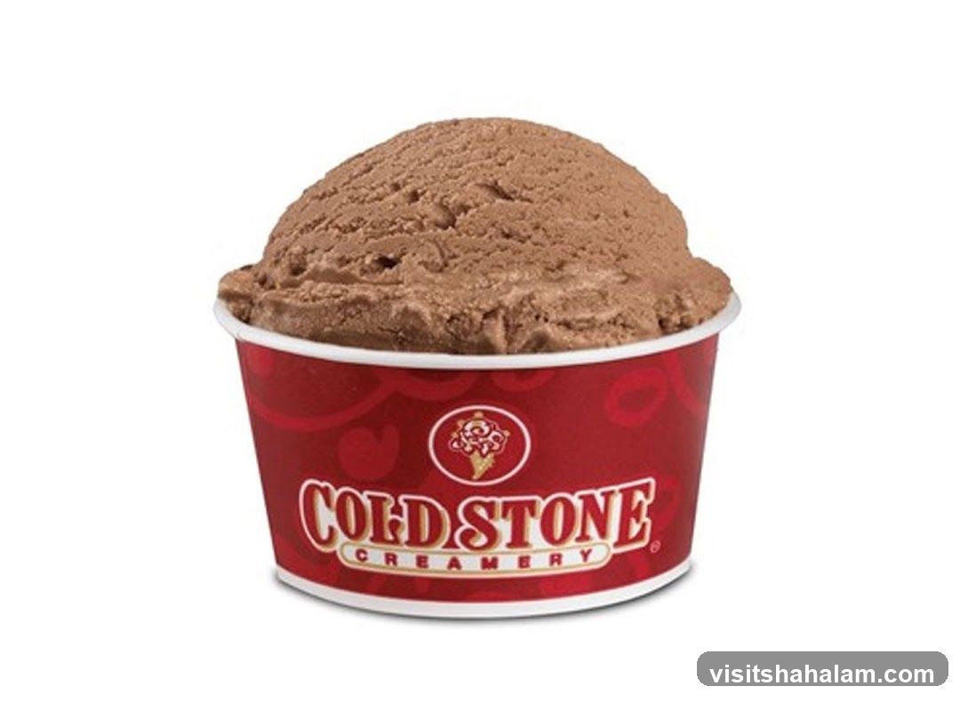 Chocolate Ice Cream