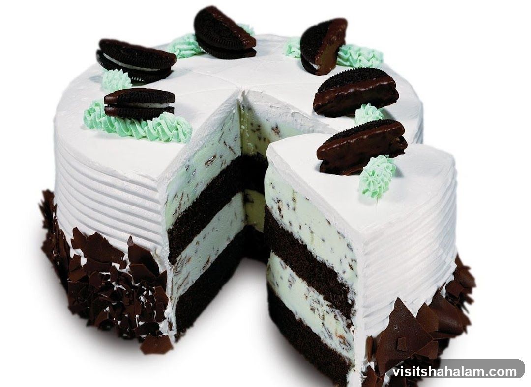 Mint Chocolate Chip Ice Cream Cake