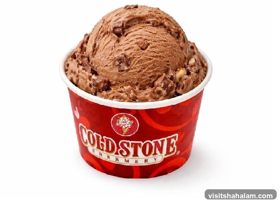 Chocolate ice cream in a cup