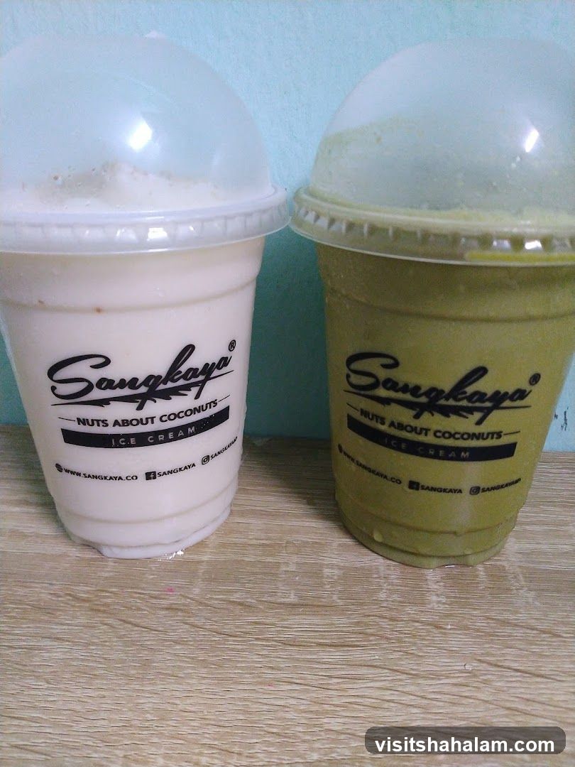 Two Coconut Ice Cream Drinks