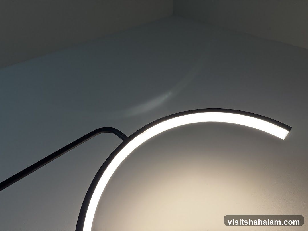 Modern Lamp with Curved Light