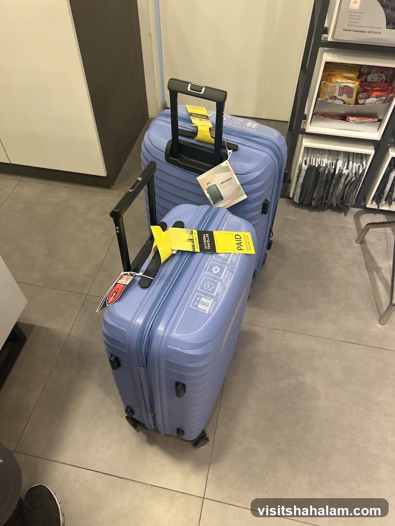 Light Blue Luggage