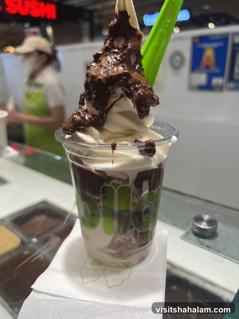 Frozen Yogurt with Chocolate Topping