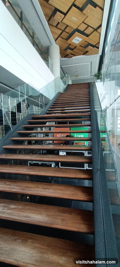 Modern Staircase with Wooden Steps
