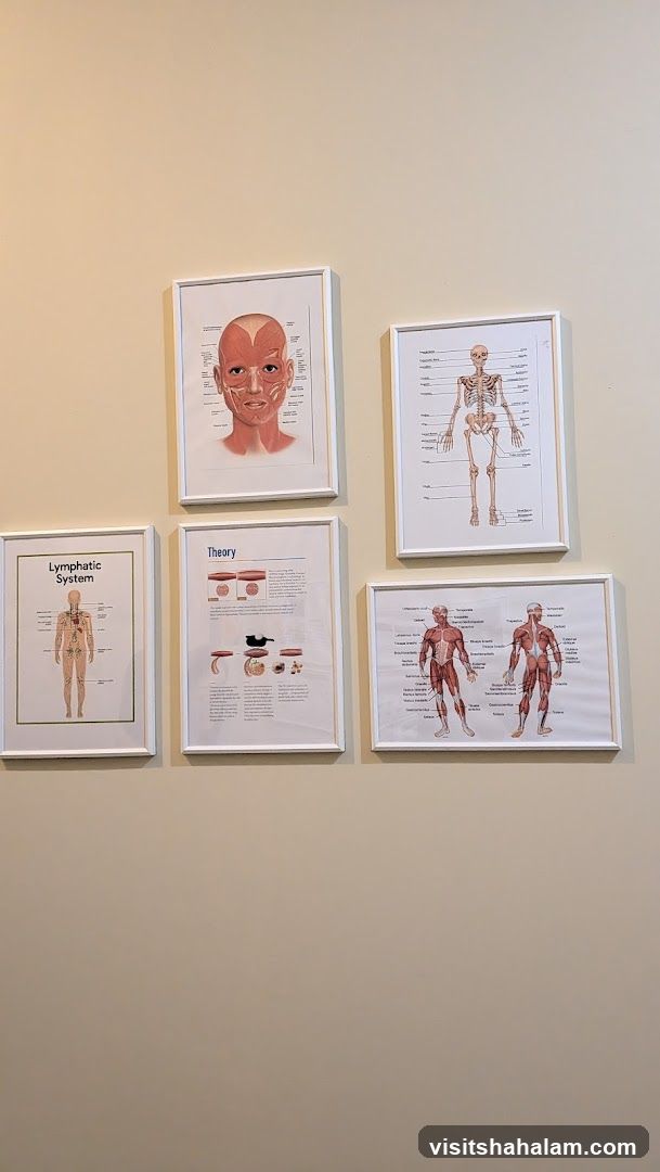 Anatomical Charts on Wall