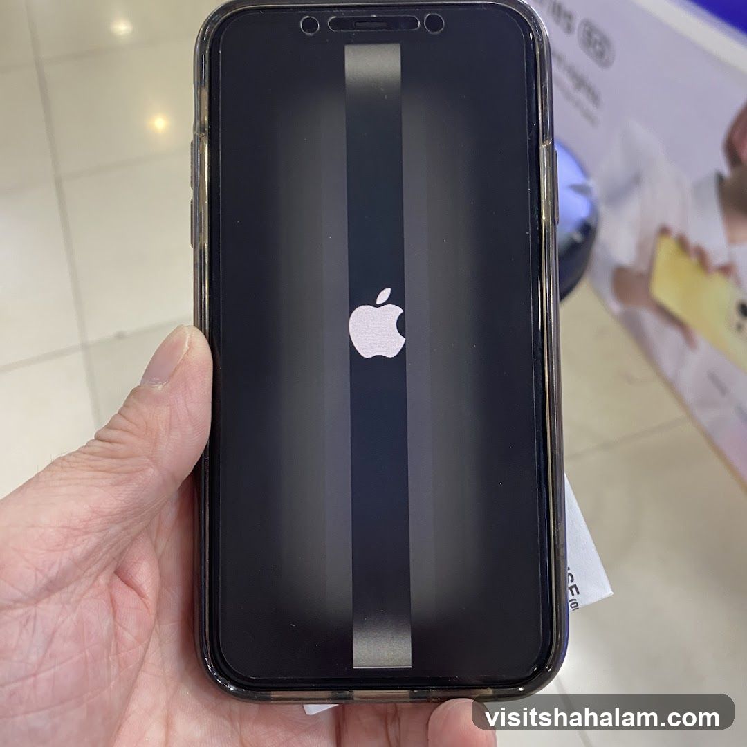 iPhone with Apple Logo