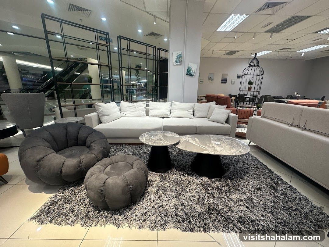 Furniture Showroom