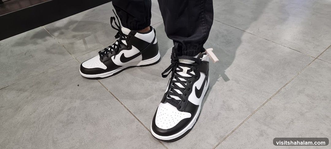 Nike Dunk High Shoes