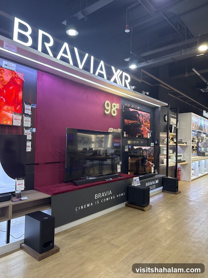 Sony Bravia XR TV Display