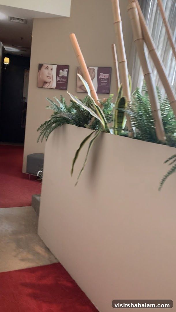 Interior of a spa or salon